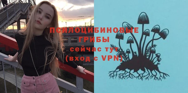 ALPHA PVP Арсеньев